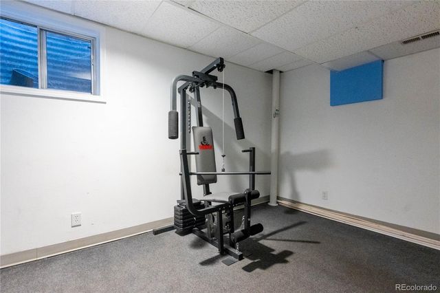 1517 S Owens Street 5, Denver, CO 80232