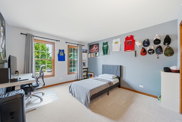 3423 Goldfinch Drive, Naperville, IL 60564