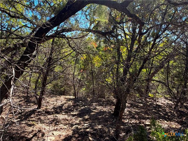 1031 Parton and 151 Reeves Road, Canyon Lake, TX 78133