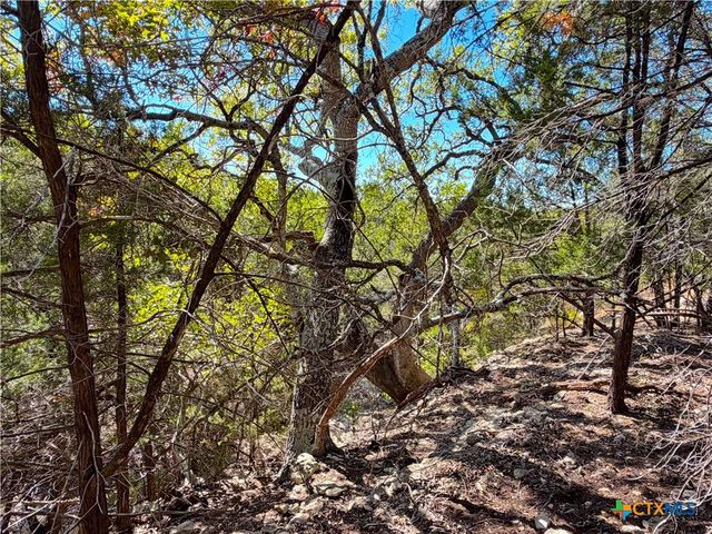 1031 Parton and 151 Reeves Road, Canyon Lake, TX 78133