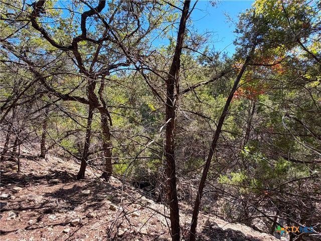 1031 Parton and 151 Reeves Road, Canyon Lake, TX 78133