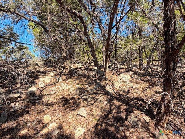 1031 Parton and 151 Reeves Road, Canyon Lake, TX 78133