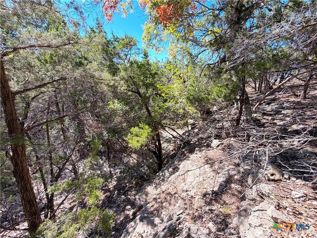 1031 Parton and 151 Reeves Road, Canyon Lake, TX 78133