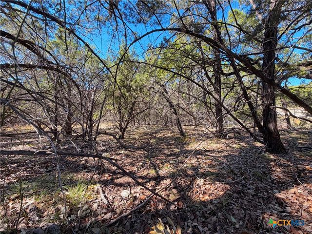 1031 Parton and 151 Reeves Road, Canyon Lake, TX 78133