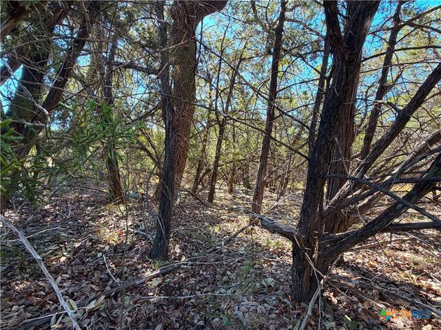 1031 Parton and 151 Reeves Road, Canyon Lake, TX 78133