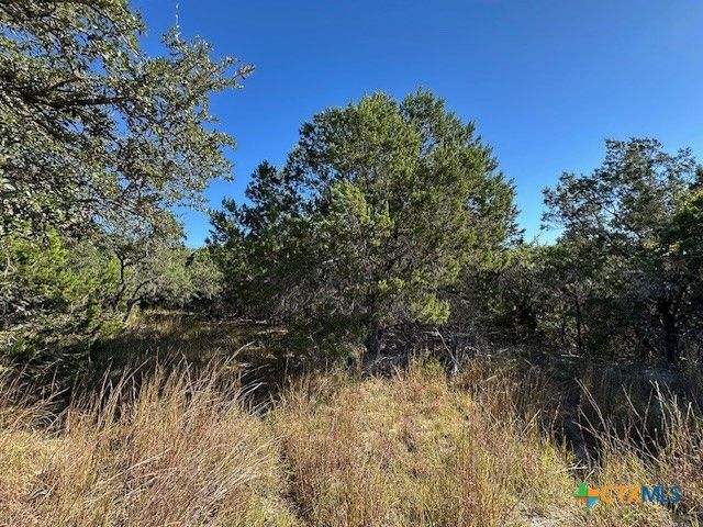 1031 Parton and 151 Reeves Road, Canyon Lake, TX 78133