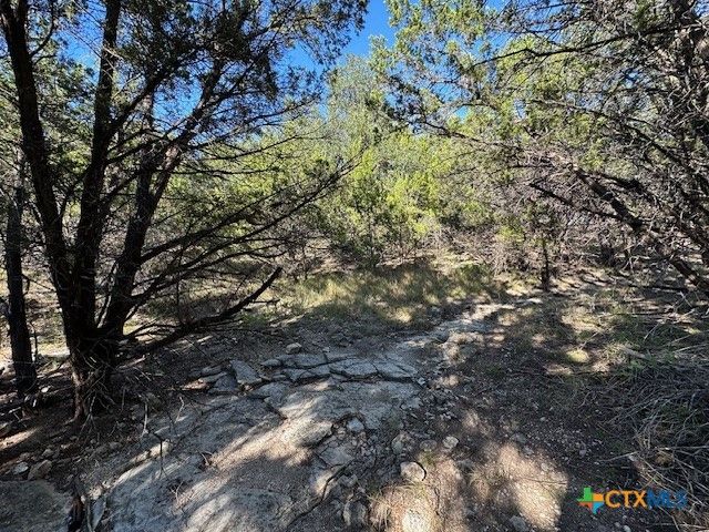 1031 Parton and 151 Reeves Road, Canyon Lake, TX 78133