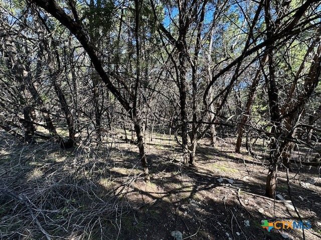 1031 Parton and 151 Reeves Road, Canyon Lake, TX 78133