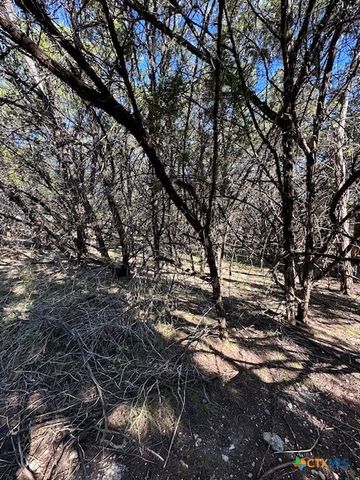 1031 Parton and 151 Reeves Road, Canyon Lake, TX 78133