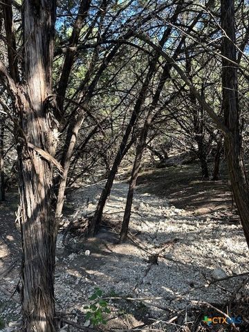 1031 Parton and 151 Reeves Road, Canyon Lake, TX 78133