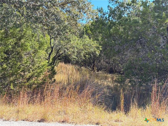 1031 Parton and 151 Reeves Road, Canyon Lake, TX 78133