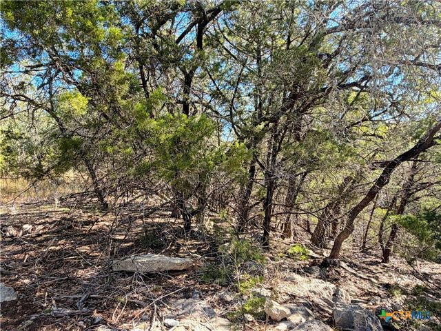 1031 Parton and 151 Reeves Road, Canyon Lake, TX 78133