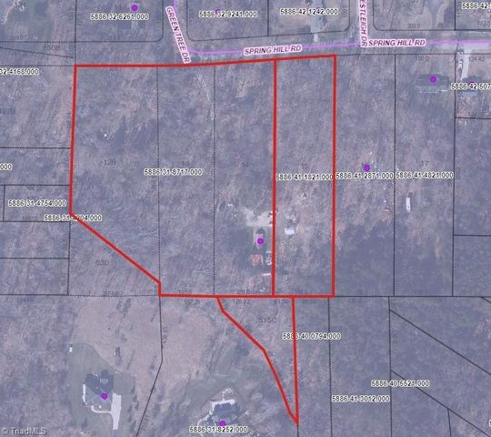 7198 Spring Hill Road, Lewisville, NC 27023