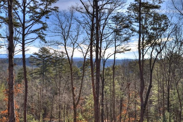 142 Red Oak Trail, Ellijay, GA 30540