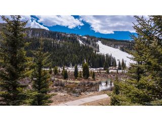 58 Hawk Cir 2342, Dillon, CO 80435