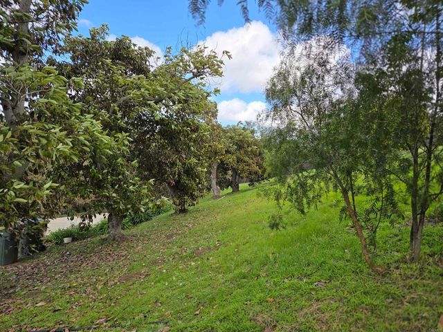 2596 Green Canyon Road, Fallbrook, CA 92028