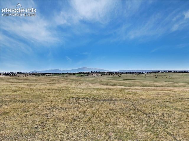15557 Fringe Place, Colorado Springs, CO 80908
