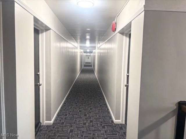 22550 Euclid Avenue 207, Euclid, OH 44117