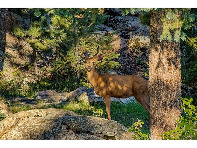 6917 Timbers Dr, Evergreen, CO 80439