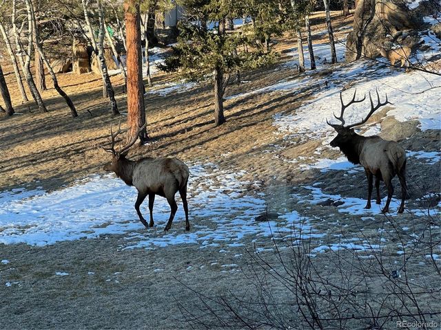 6917 Timbers Dr, Evergreen, CO 80439