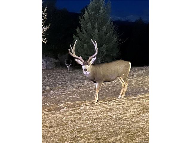 6917 Timbers Dr, Evergreen, CO 80439