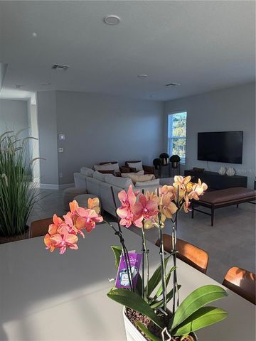 1389 LUMPINI STREET, St Cloud, FL 34771