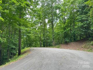 000 Ruffed Grouse Lane, Waynesville, NC 28786