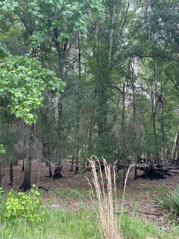 0 PALAMINO LAKE DRIVE, Dade City, FL 33523