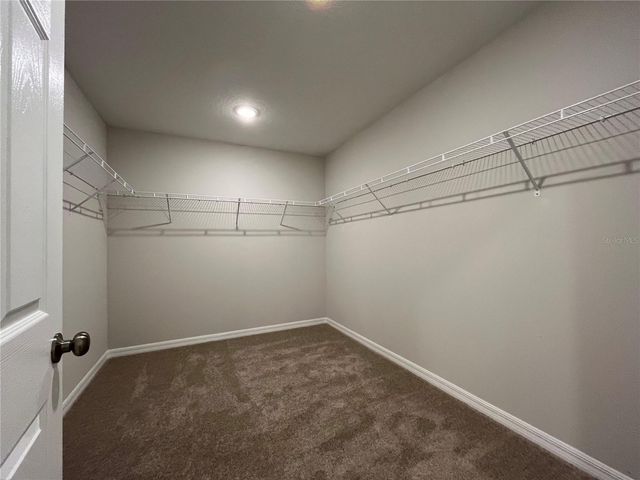 14789 SUMMER BRANCH DRIVE, Lithia, FL 33547