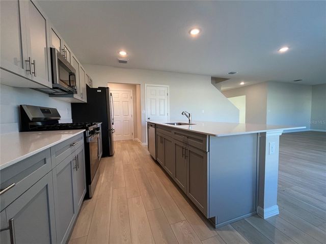 14789 SUMMER BRANCH DRIVE, Lithia, FL 33547