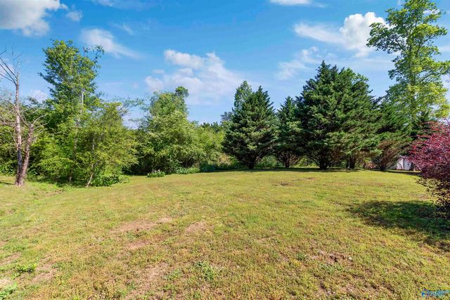 221 Turkey Hop Road, Holly Pond, AL 35083