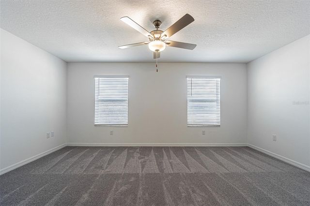 32065 POWDERPUFF MIMOSA, San Antonio, FL 33576