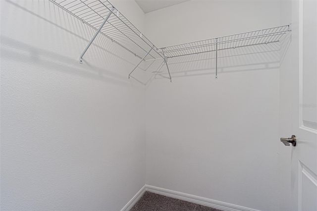 32065 POWDERPUFF MIMOSA, San Antonio, FL 33576