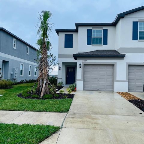 32065 POWDERPUFF MIMOSA, San Antonio, FL 33576