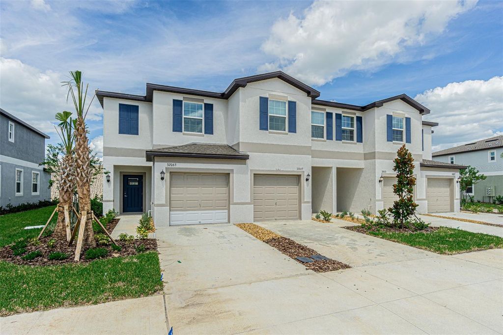 32065 POWDERPUFF MIMOSA, San Antonio, FL 33576