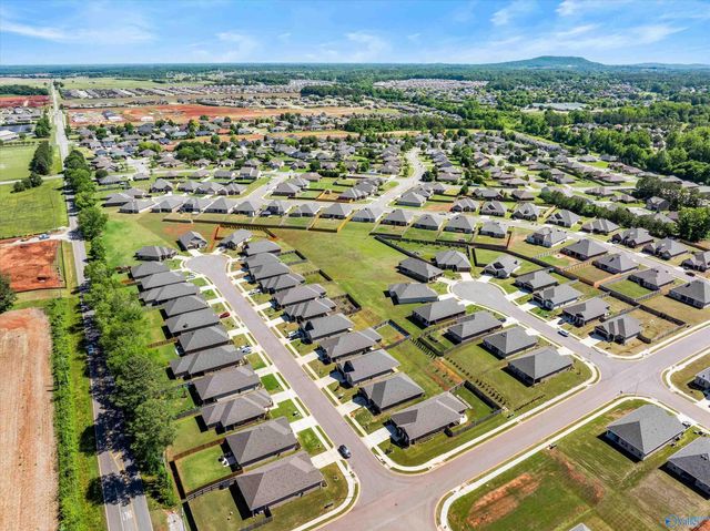 15706 Mizewell Lane, Harvest, AL 35749