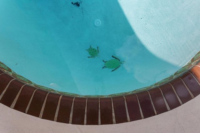 216 S Ocean Breeze #1 Dn, Lake Worth Beach, FL 33460