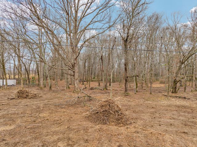 1295 Three Island Rd, Walling, TN 38587