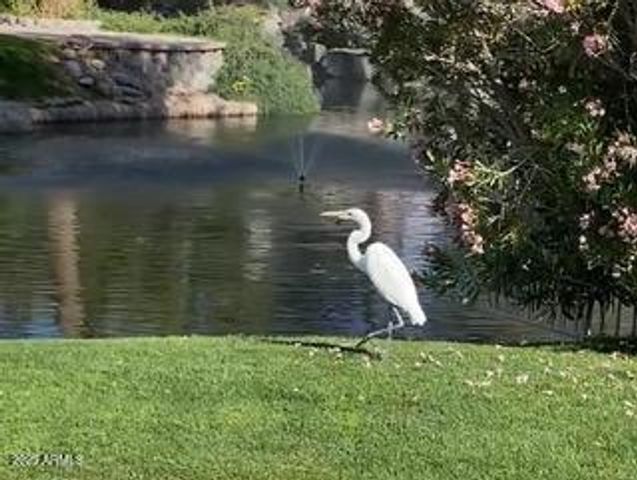 1146 W SEA FOG Drive, Gilbert, AZ 85233