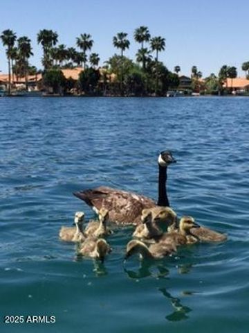 1146 W SEA FOG Drive, Gilbert, AZ 85233