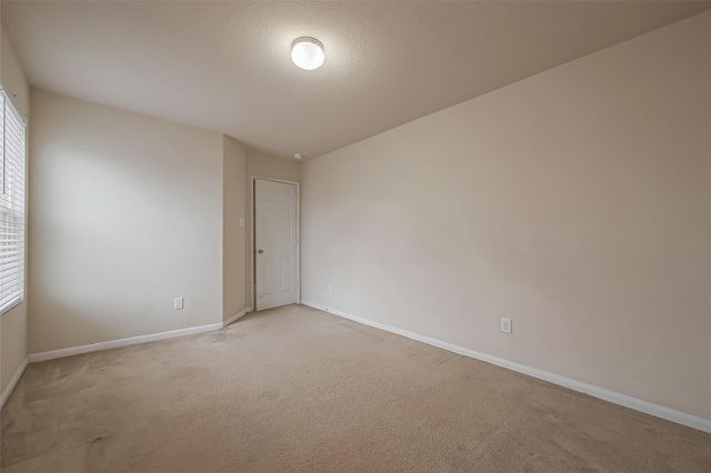 13510 Dahlia Green Way, Houston, TX 77038