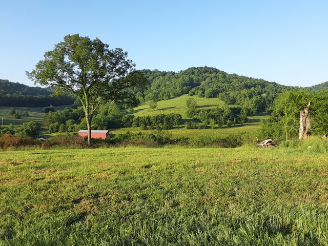 222 Cook Hollow Ln, Pleasant Shade, TN 37145