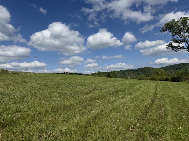 222 Cook Hollow Ln, Pleasant Shade, TN 37145