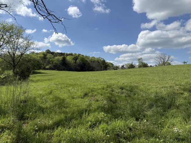 222 Cook Hollow Ln, Pleasant Shade, TN 37145