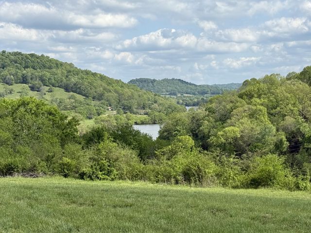 222 Cook Hollow Ln, Pleasant Shade, TN 37145