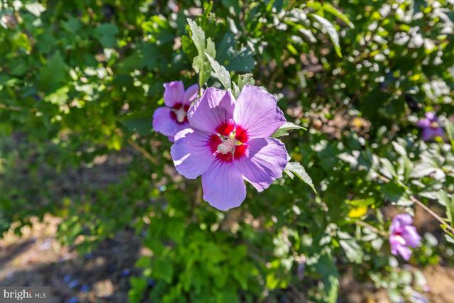 3588 TORRING LN, Catlett, VA 20119