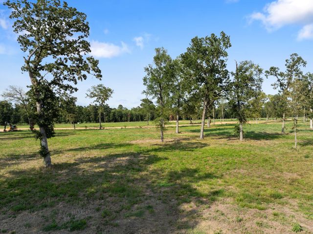 TDB Lot 28 Island View, Livingston, TX 77351