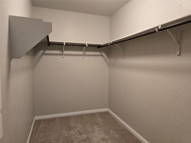 101 Stellamar DR, Hutto, TX 78634