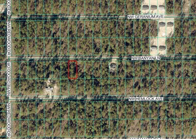 NW BANYAN LN, Dunnellon, FL 34431