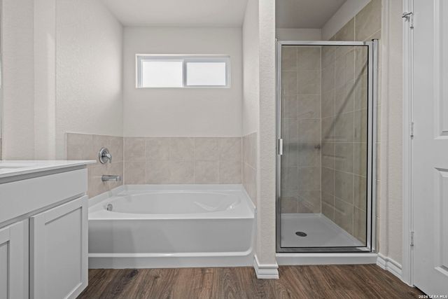 217 Squacco Heron, San Antonio, TX 78253